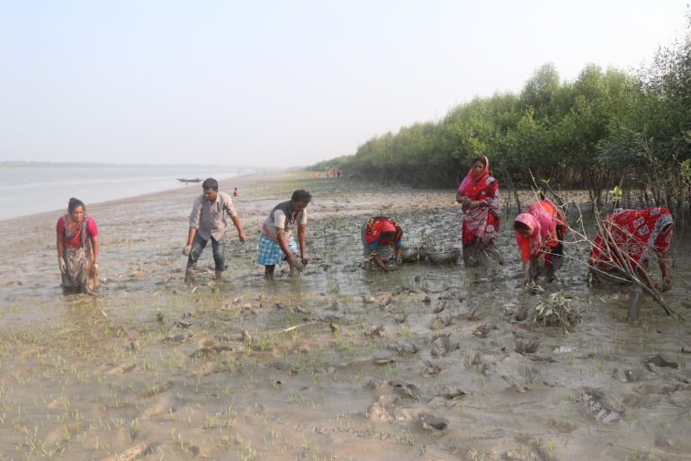 স্কিপার পরিবেশ সুরক্ষায় অগ্রণী – ‘হরিয়ালি’ উদ্যোগে সুন্দরবনে ম্যাংগ্রোভ পুনরুদ্ধার ও নিরাপত্তাহীন পরিবারের ক্ষমতায়ন